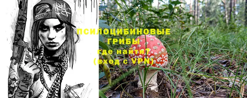 Галлюциногенные грибы Psilocybine cubensis  Городец 